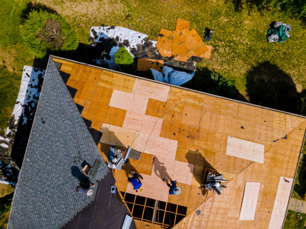 Best Roof Gutter Cleaning  in Williston Highlands, FL