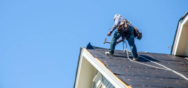 Best Flat Roof Repair Services  in Williston Highlands, FL